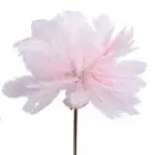 61in Decorative Feather LED Floor Lamp 3 Color Temperature Stepless Dimming AU