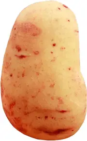 Small Plush Potato Throw Pillow - Cute Sofa Bed Vegetable Decor
