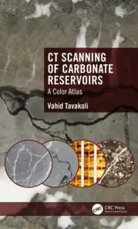 在飛比找博客來優惠-CT Scanning of Carbonate Reser