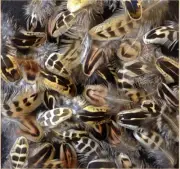 500 Pcs. BULK Pheasant Hen, +Quality Feathers. Art, Crafts, Jewelry, Fly Tying.