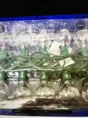 Set Of 10 Clear Globe Light Patio Lights On String