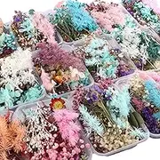 3 Box Dried Flowers Set,Mixed Dried Flowers Colorful Dry Flowers,Multiple Dry Flower Leaves Mixed Natural Flower Colorful Real Dry Flower For DIY Candle Resin Jewelry DIY Making Wedding(random Colors)