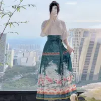 在飛比找蝦皮商城精選優惠-新中式國風精美馬面裙改良明制漢服馬面裙高顏值氣質馬面裙套裝 