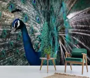 3D Peacock Feather D2283 Animal Wallpaper Mural Self-adhesive Removable Honey