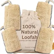 All Natural Loofah Sponge, Pack of 4 Real Egyptian Bath & Shower Exfoliating Loofa Scrubber Sponges for Face, Back & Body, Eco Friendly, No Toxic Chemicals, 6" x 6" by Crafts of Egypt