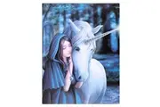 Anne Stokes 19x25cm Solace Canvas (Multicoloured) (One Size)