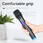 Dual Channels Wireless Microphone System Handheld Dynamic Mic for Party