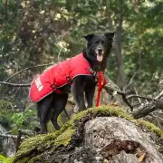 NWT KONG RIP STOP DOG BLANKET COAT WATER RESIST REFLECTIVE FLEECE LINED RED MED