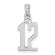 14K White Gold 14Kw Polished Number 12 Pendant
