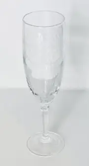 Cristal D'Arques Durand France DAMPIERRE Etched Crystal Champagne Glass Flute