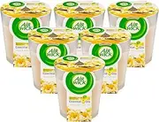 Air Wick Essential Oils Candle, Vanilla and Soft Cashmere, 105g (Pack of 6)