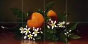 orange blossoms flower Tile Mural Kitchen Bathroom Backsplash Marble Ceramic