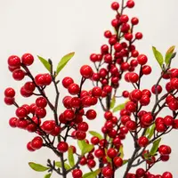 在飛比找蝦皮購物優惠-⋒芳馨花園⋒仿真果實【狀元紅 紅果支】年節飾品 聖誕裝飾 新