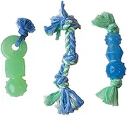 Petstages Mini Dentachew Pack of Puppy Chew Toys, 0.1 kg, Green (27504)
