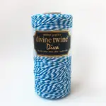 美國進口 DIVINE TWINE DIVA 雙色棉線 / BLUEBONNET