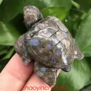 2" Natural rhyolite sea turtles quartz crystal skull carved decor healing 1pc