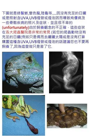 ZooMed 潮濕雨林型爬蟲專用含UVA UVB REPTISUN日本製 5.0 UVB  澤龜 巴西龜 輻射龜 變色龍適用