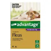 Bayer Advantage Cat 4kgs Plus Large 4 & 6 Pack Flea Tick Remedy Spot On Feline