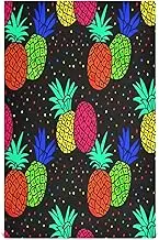 GAIREG Pineapples Dot Drying Dish Towel, 28x18 Decorative Cute Tea Towels for Kitchen