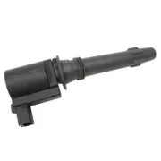 Goss C198 Ignition Coil for Ford Falcon BA BF 6Cyl inc XR6 & Turbo x1 (for: Porsche)