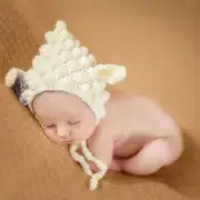 Newborn Baby Props Beanies sheep Costume Knitted Crochet photography props Hat