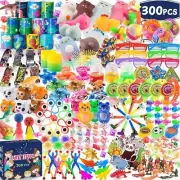 300 PCS Party Favor for Kids Goodie Bags Stuffers Prize Box Toys for Kids Class