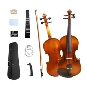 New 3/4 Size Acoustic Violin 4 String Maple Spruce Ebony Fitting Hard Case Bow