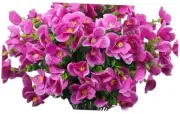 Bundles Artificial Orchid Flowers, Fake Artificial Greenery UV 24 Fuchsia