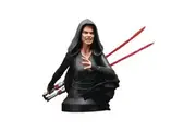 Star Wars Dark NYCC 2021 Exclusive 1:6 Scale Bust Toy 6in