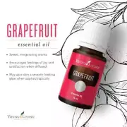 Grapefruit Aromatherapy Essential Oil by Young Living - Uplifting & Revitalizing