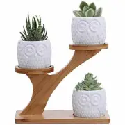 Round White Ceramic Owl Succulent Pots w/ 3-Tier Bamboo Saucer Stand (3 pots)