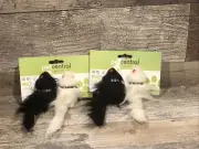(Sale) Set of 4 Skitter Critters Cat Toy Mice, Black & White