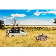 Save 10.00%! 3 Days Gamedrive Safari In Masai Mara From Nairobi