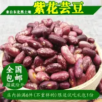 在飛比找淘寶網優惠-新豆 紫花芸豆 東北佳木斯農家自產紅芸豆花皮飯豆大粒花腰豆