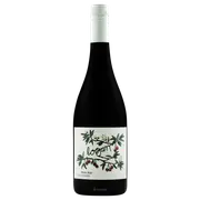 Logan Pinot Noir 2023 - Buy Online | The Wine Collective Marketplace