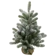 Northlight 2' B/O Frosted Pine Medium Artificial Christmas Tree Burlap Pot-White
