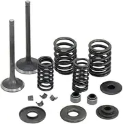 Inlet/Exhaust Valve Sets YP250-5027 for Linhai 250 260 300 520 Y-m-h Keeway Jinlang Feishen Scooter ATV 22714