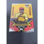 《老二球卡》 2006 TOPPS MLB 美國職棒 華盛頓國民 ALFONSO SORIANO 明星賽球衣卡 棒球卡