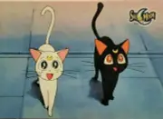 LUNA & ARTEMIS Vintage Sailor Moon Trading Card DIC # 16 TOEI