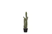 Rogue Saguaro Cactus Garden Pot 91cm Green
