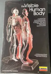 Lindberg The Visible Human Body 1302 FS NEW Model Kit ‘Sullys Hobbies’