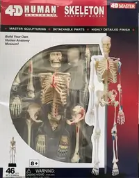 在飛比找Yahoo!奇摩拍賣優惠-*立騰玻璃*人體解剖模型 人體器官模型 人骨模型 生物 教學