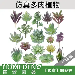 【台灣現貨】 仿真多肉植物 帶粉多肉 仿真多肉 多肉植物  【HOMEDEN 霍登園藝】