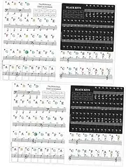 Kisangel 2Sets Decorative Piano Keyboard Stickers of Easy to Use Piano Notes Letter Labels for Learning Piano for Beginners Durable Safe Material Fits Key