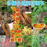 在飛比找蝦皮購物優惠-🍓【免運大熱銷】中藥材種子 七葉一枝花 當歸種子 辣木籽 藥