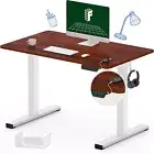 FLEXISPOT Standing Desk Electric Stand Up Desk with 100×60 CM W