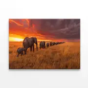 Elephants Moving Across an Field Print 100% Australian Made 150 x 100cm (Stretched)
