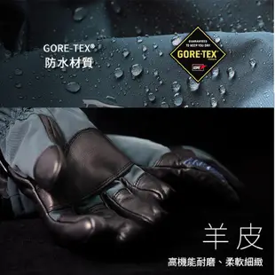 【威飛客WELL FIT】【超值特價】SWANY GORE-TEX防水滑雪手套 保暖 防風 防水 品牌 滑雪裝備