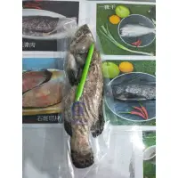 在飛比找蝦皮購物優惠-年菜必備 龍虎班（700/800g) 龍膽石斑 石斑魚 魚