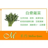 在飛比找蝦皮購物優惠-《Meilleur》白骨蕹菜（白骨空心菜）10元 約300粒